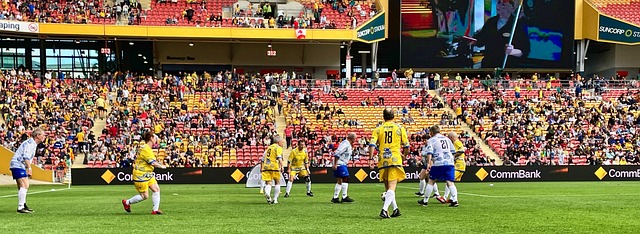 高质量的对 高质量的对