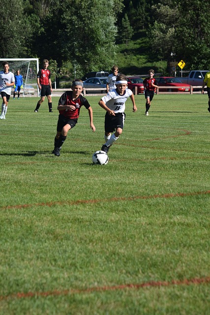 也成为他们 也成为他们