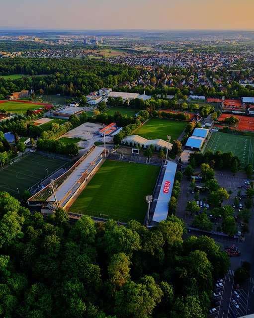 中展示了极 中展示了极