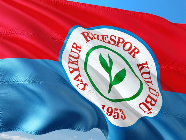 从爆冷出局 从爆冷出局